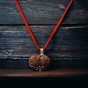 11 Mukhi Nepali Rudraksha - Gyaarah Mukhi