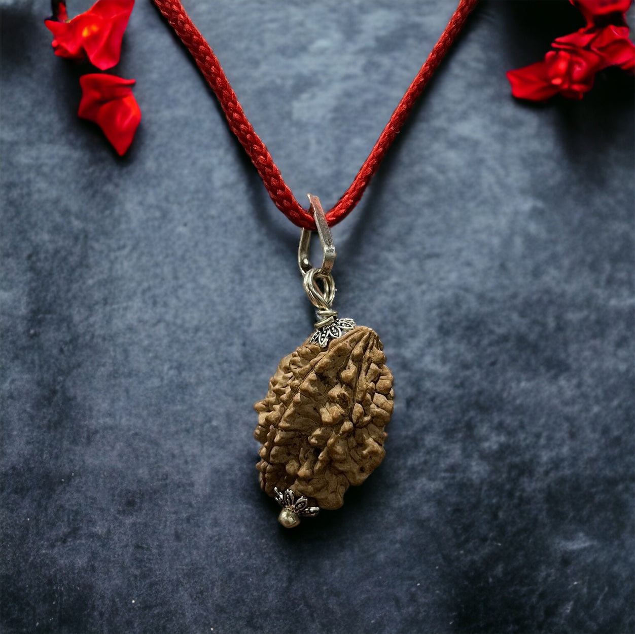 2 Mukhi Indian Rudraksha - Do Mukhi