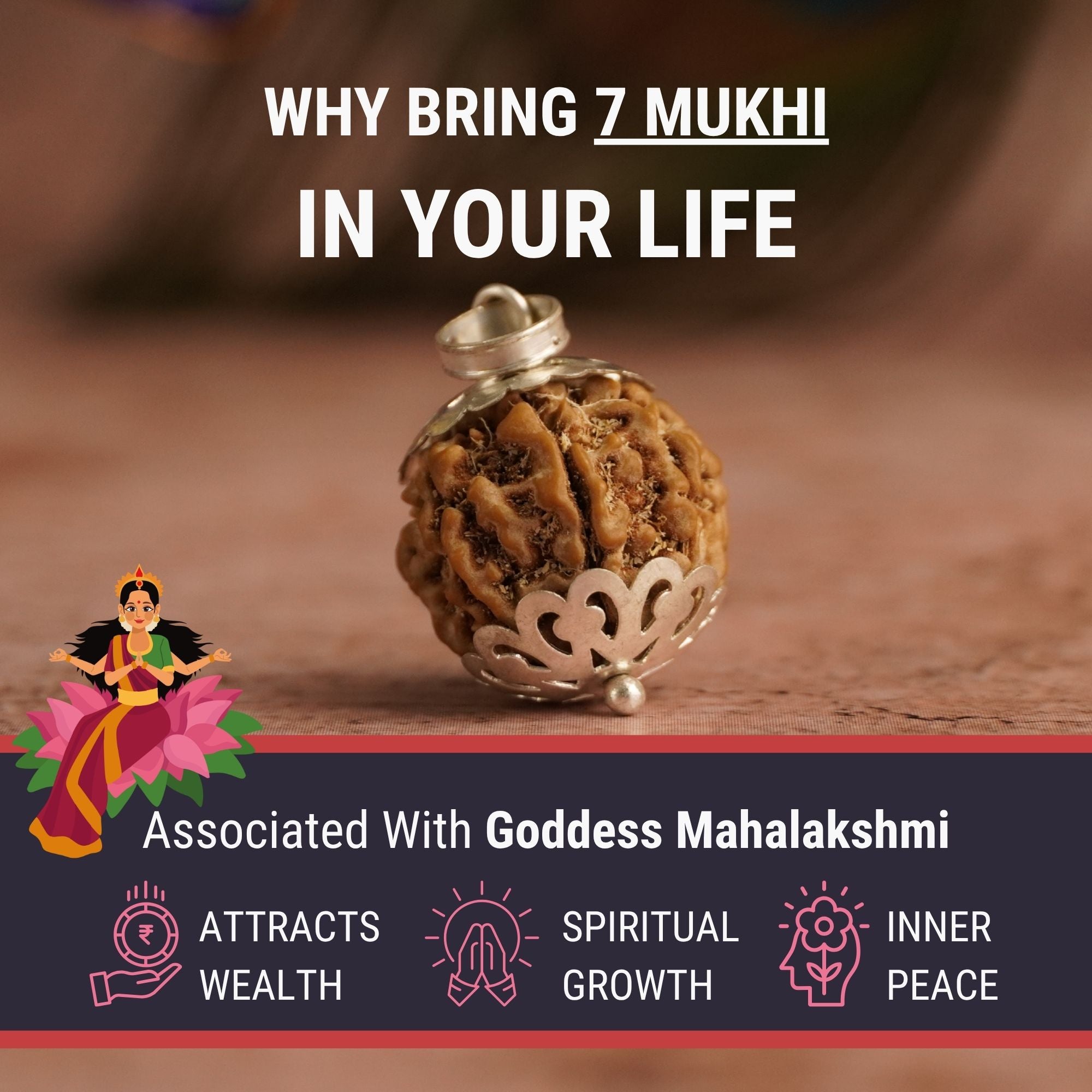 7 Mukhi Nepali Rudraksha - Saat Mukhi - Image 2