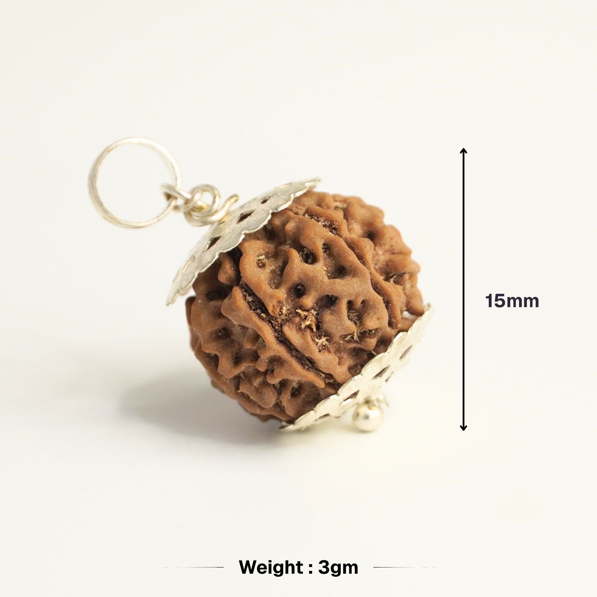 7 Mukhi Nepali Rudraksha - Saat Mukhi - Image 5