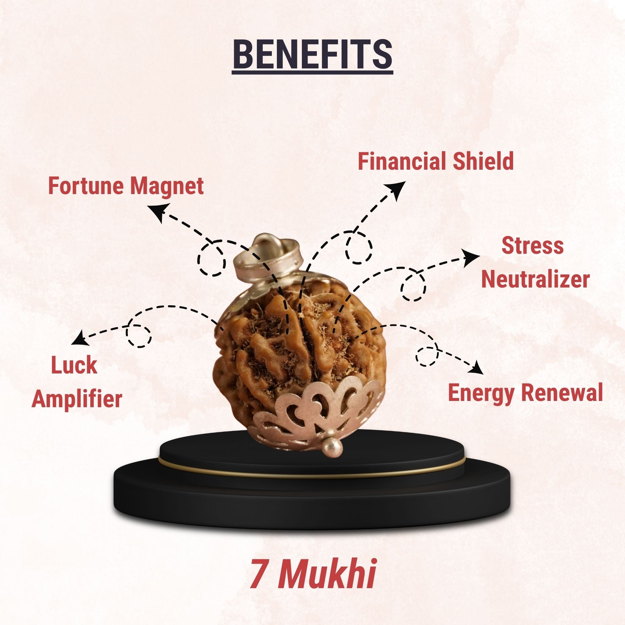 7 Mukhi Nepali Rudraksha - Saat Mukhi - Image 6