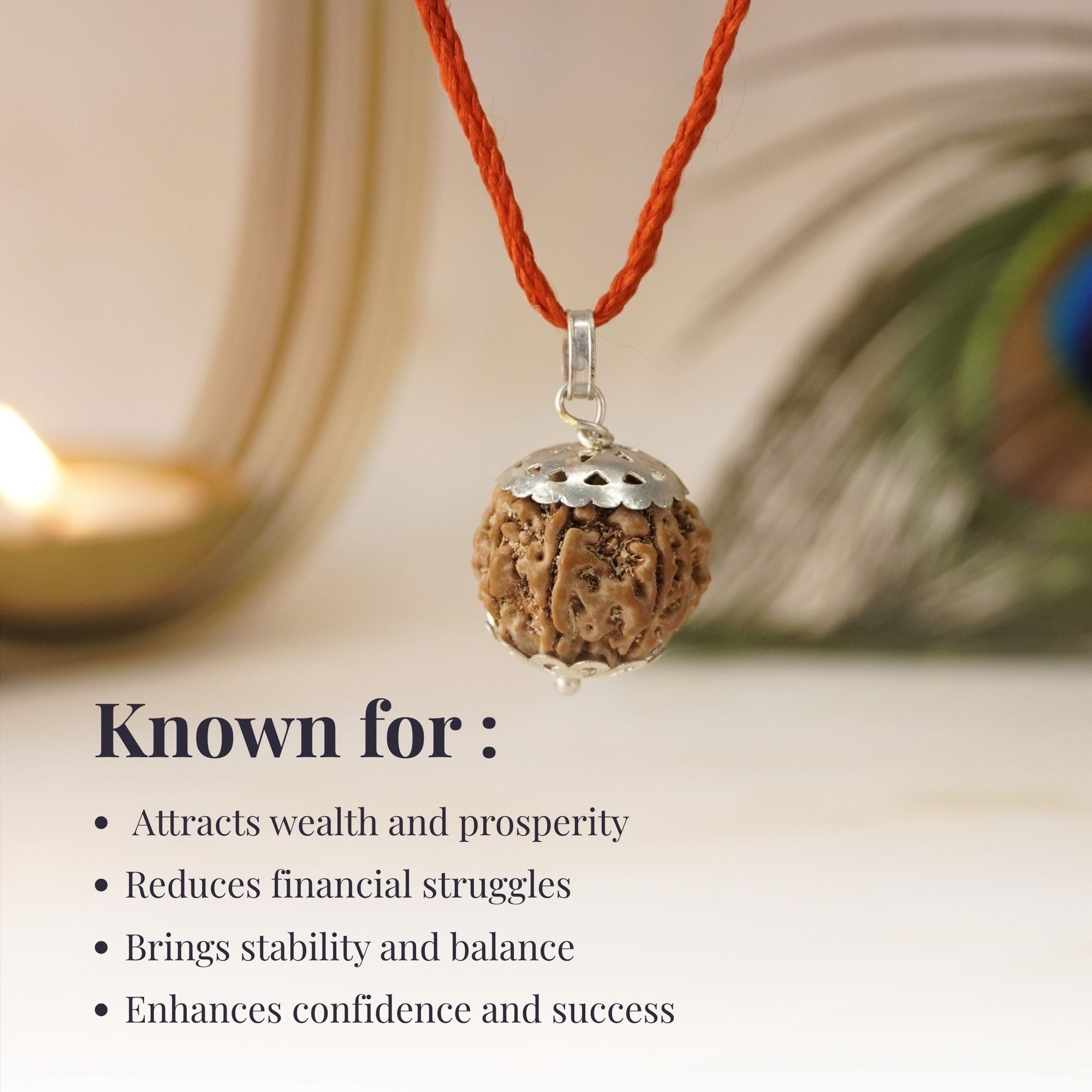 7 Mukhi Nepali Rudraksha - Saat Mukhi - Image 8