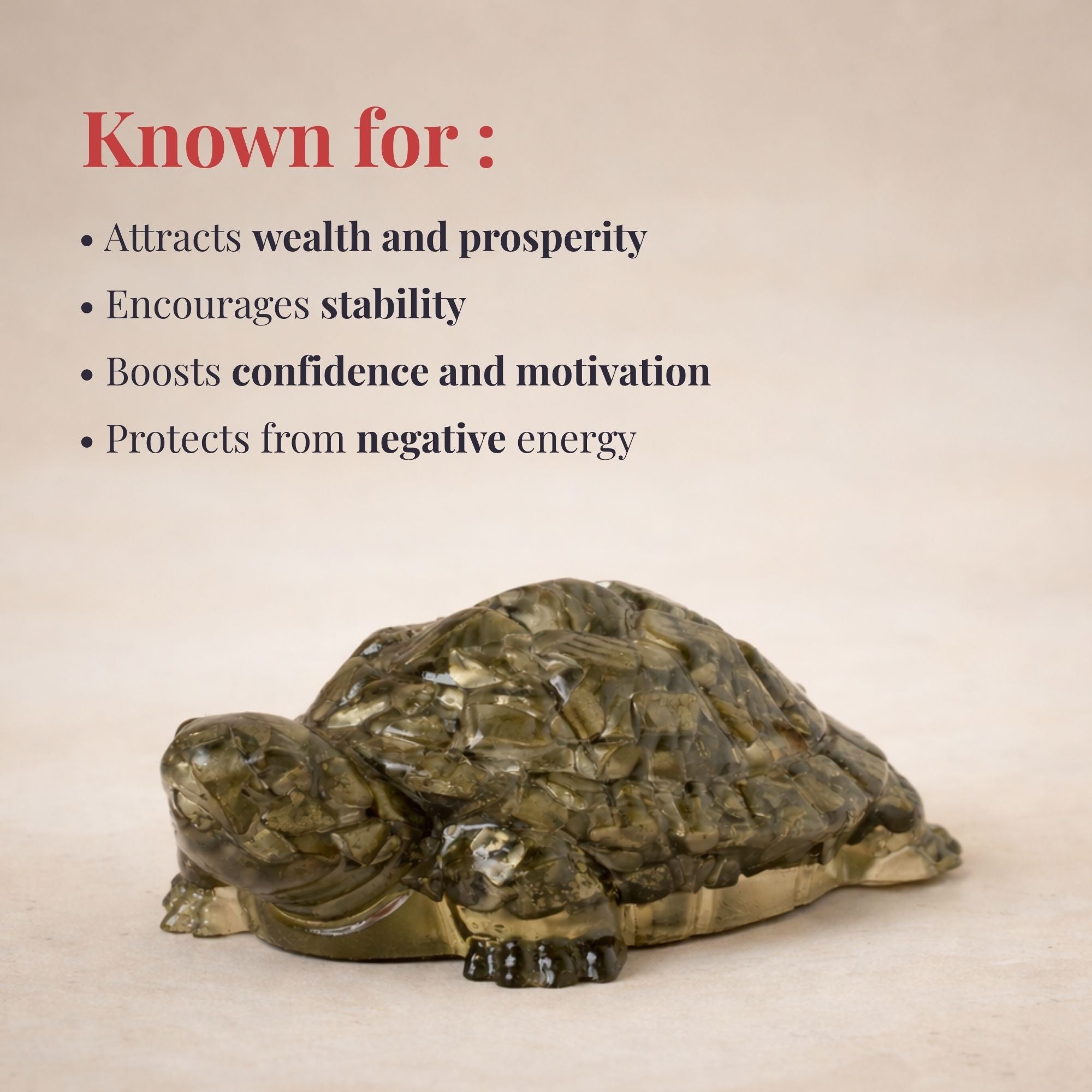 Pyrite Prosperity Tortoise (Kachhua) for Vaastu - Image 7